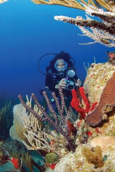 a scuba diver is surrounded by corals and seaweed