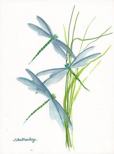 Watercolor And Ink Paintings, Dragon Fly Watercolor, Relaxing Paintings, Dragon Fly Paintings, Dragonfly Watercolor, Simple Watercolor Cards, Watercolor Dragonfly, Dragonfly Painting, Winsor And Newton Watercolor