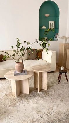 a living room filled with furniture and a potted plant on top of a table