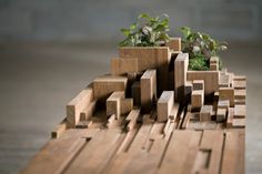 several wooden blocks with plants growing out of them