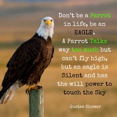 an eagle sitting on top of a wooden post with a quote from the poem, don't be a parrot in life, be an eagle