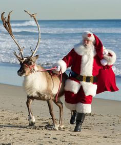 a man dressed as santa claus walking his reindeer on the beach