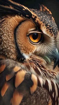 an owl with yellow eyes and brown feathers