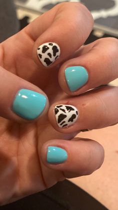 Teal woth cow print for our western trip. Western Nail Ideas Cow Print, Teal And Cow Print Nails, Nails With Cactus Design, Turquoise Nails With Cow Print, Simple Western Nails Turquoise, White And Turquoise Nails Western, Turquoise Nails Western Cow Print, Turqoise Nails Western