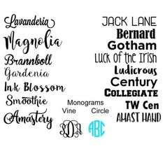 some type of font that is in different colors and sizes, with the names below it