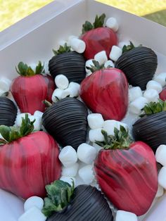 chocolate covered strawberries and marshmallows in a box