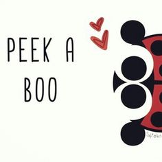 the words peek a boo are written in black and red with a ladybug on it