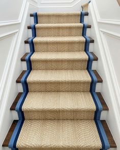 a carpeted staircase with blue handrails in a house