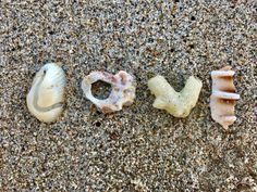 four seashells are arranged in the shape of v and w, on sand