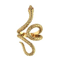 amanda jaron amy siewe snake ring python adjustable ring Snake Jewellery, Clothes Painting, Burmese Python, Florida Everglades, Serpent Jewelry, Burmese Ruby, Python Snake, Animal Model, Lapis Lazuli Jewelry