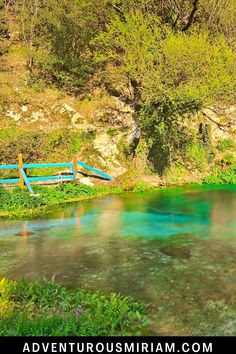 the blue lake is surrounded by green trees