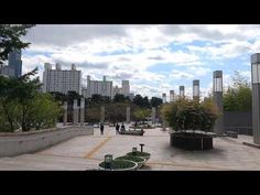 people are walking around in an open area with trees and buildings on the other side