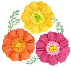 three different colored flowers on a white background