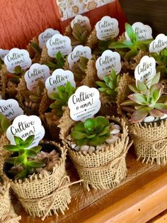 small succulents are placed in burlap baskets with name tags on them