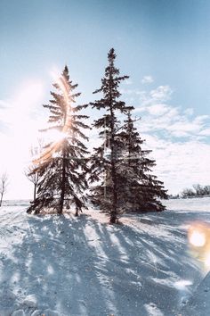 Winter Product Photography, Artist Recommendations, Winter Pics, Cute Summer Wallpapers, Photography Winter, Japanese Art Prints, Winter Fairy, Winter Nature, Pretty Landscapes