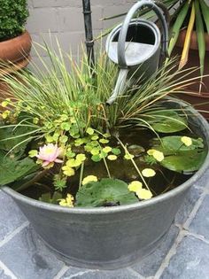 a potted planter filled with water and plants