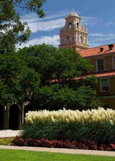 a clock tower is in the distance behind a building with flowers and trees around it