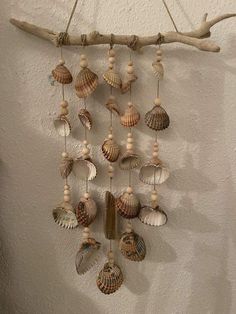 a wind chime with seashells hanging from it