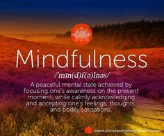 There are countless ways to cultivate mindfulness: meditation, yoga, gratitude, the list goes on… What is your favorite way to cultivate mindfulness? Meditation Zone, Yoga Gratitude, What Is Mindfulness, A Course In Miracles, Daily Meditation, Nutrition Education, What Is Your Favorite, Yoga Quotes, Meditation Yoga