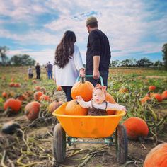 a man and woman pushing a baby in a wheelbarrow filled with pumpkins