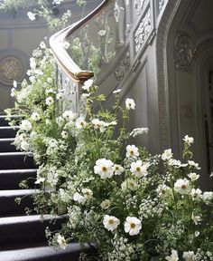 white flowers are growing on the side of a staircase