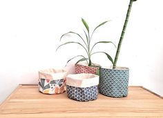 three potted plants sitting on top of a wooden table