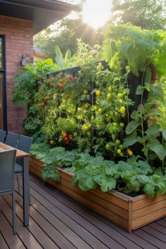 an outdoor garden with lots of plants growing on it's sides and wooden decking