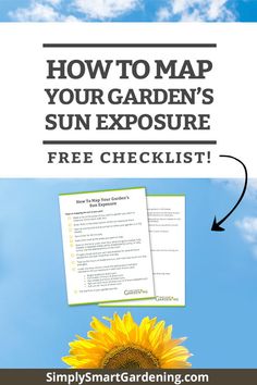 a sunflower with the text how to map your garden's sun exposure free checklist