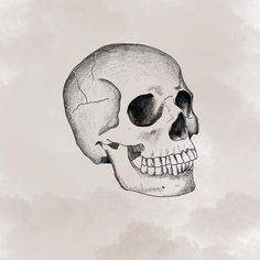 a black and white drawing of a human skull