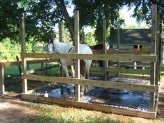 a white horse standing in a wooden pen