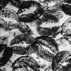 black and white photograph of many different types of worms in the snow, with water droplets on them