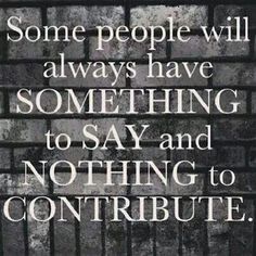 some people will always have something to say and nothing to contribute type is if you agree