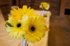 two yellow flowers in a vase on a table with white linens and chairs behind them