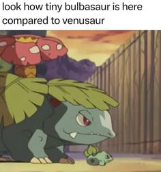 an image of a cartoon character with the caption that reads, when you look how tiny bulbasar is here compared to venusaur