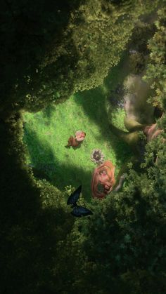 an aerial view of some animals in the grass