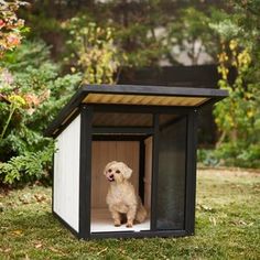 a small dog sitting inside of a black and white box on the grass in front of some trees