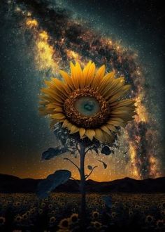 a large sunflower sitting on top of a tree in front of a night sky