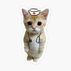 a cat with a stethoscope on it's head is standing upright