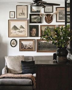 a living room filled with furniture and pictures on the wall next to a table topped with a potted plant