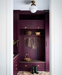 an entry way with purple cabinets and green boots