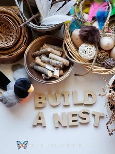 the words build a nest are surrounded by birds, eggs and other things in baskets