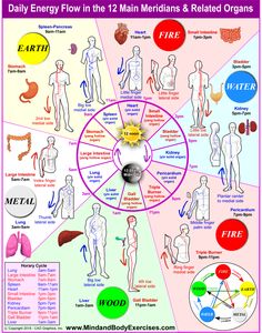 Chinese Meridian Chart, The Body Meridians, Meridian Points Charts, Chinese Medicine Meridians, Acupuncture Meridian Chart, Qi Gong Energy Points, Body Meridian Chart, Meridians Points Charts, Chi Energy Exercises