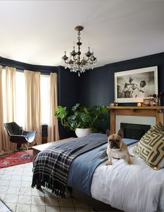 a dog sitting on top of a bed in a bedroom