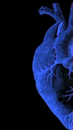 an image of a blue human heart on a black background