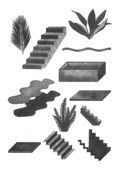 black and white illustration of steps, plants, and trees