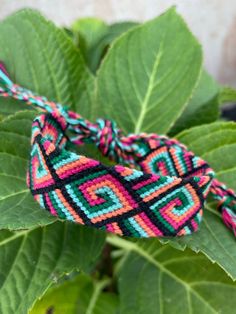 a close up of a green leaf with a colorful bracelet on it's end