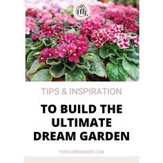 pink flowers with the words tips and inspiration to build the ultimate dream garden on top