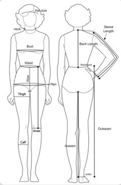 the measurements for a woman's body