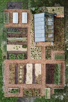 an aerial view of a vegetable garden in the middle of a grassy area with several rows of plants