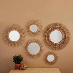 four circular mirrors mounted on the wall above a table with a potted plant in front of it